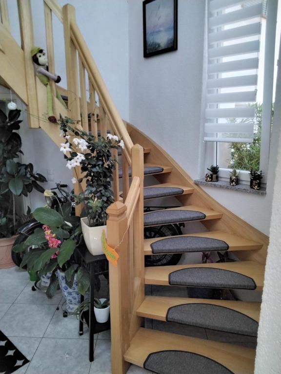 Fewo Jehle Rust Süd room 5